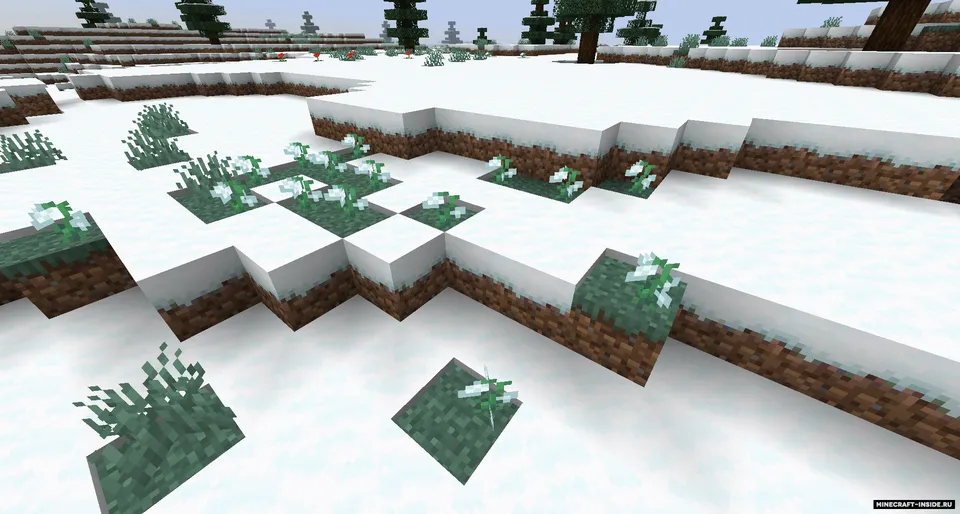 Skeleton Expansion — Minecraft mod, rasm 7