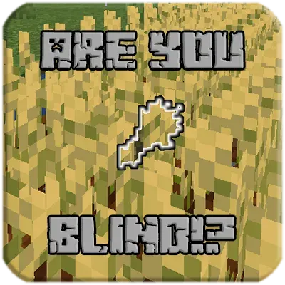 Are You Blind!?