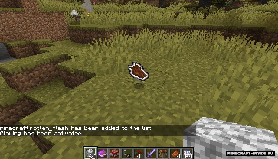 Are You Blind!? — Minecraft mod, rasm 3
