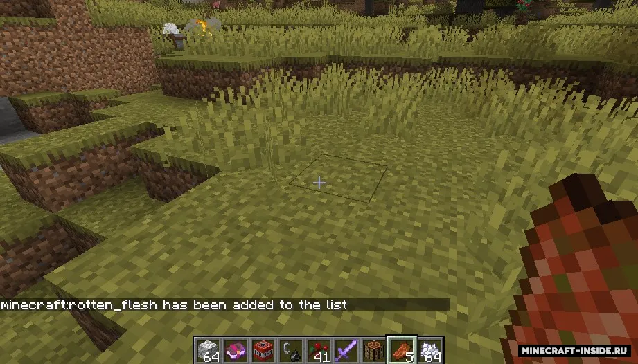Are You Blind!? — Minecraft mod, rasm 4