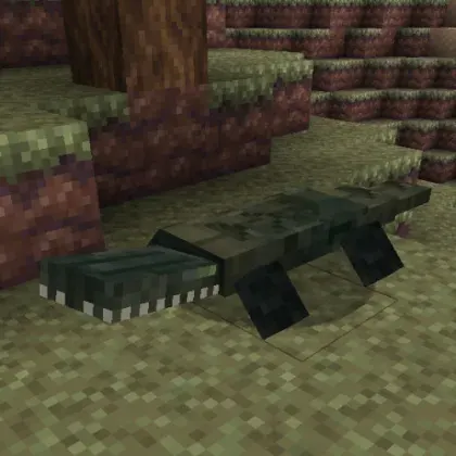 Croc