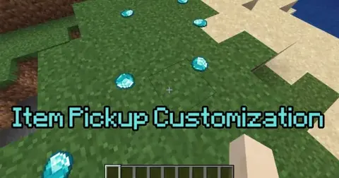 Item Pickup Customization