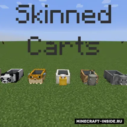 Skinned Carts