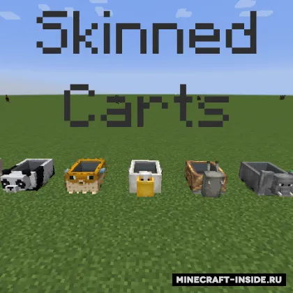 Skinned Carts — Minecraft mod, rasm 1