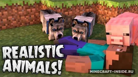 Hungry Animals