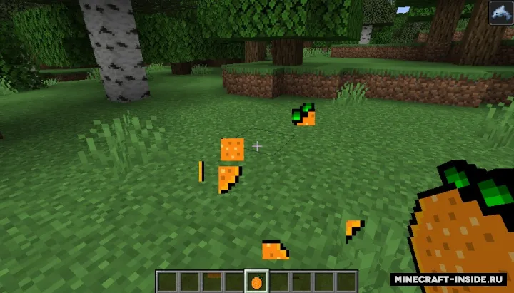 Exotic Fruit's — Minecraft mod, rasm 2