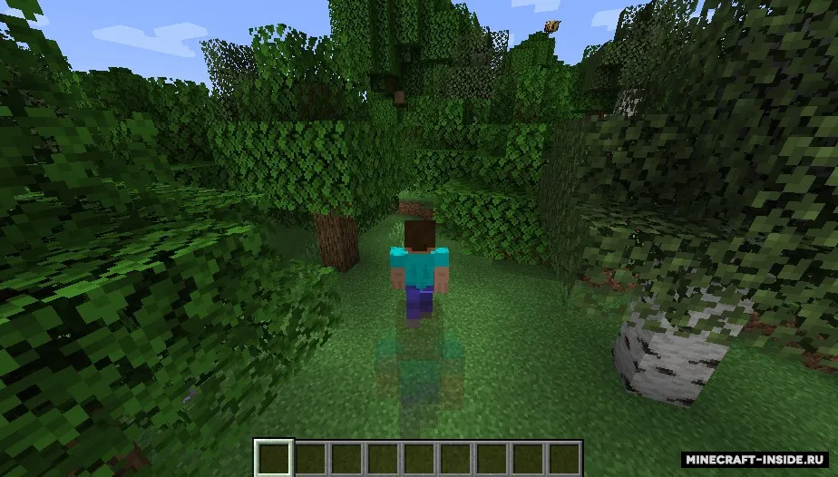 Speed Illusion — Minecraft mod, rasm 3