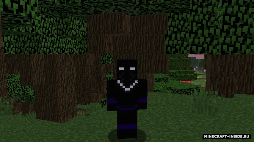 The Heroes' Universe — Minecraft mod, rasm 4