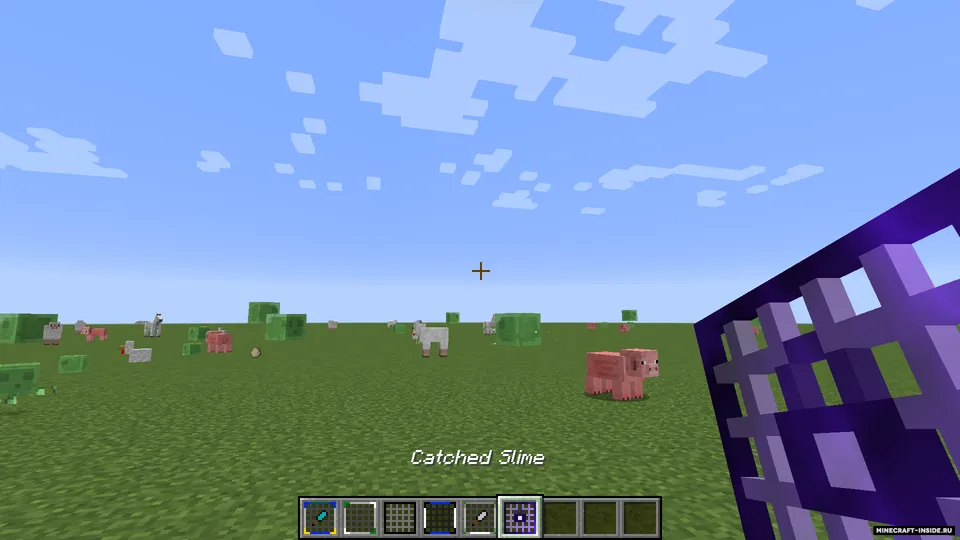 AnimalNet — Minecraft mod, rasm 3