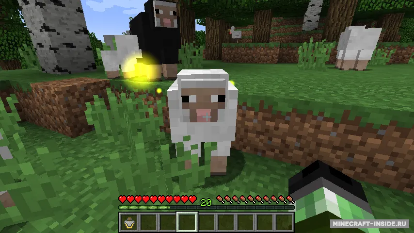 Everlasting Abilities — Minecraft mod, rasm 2