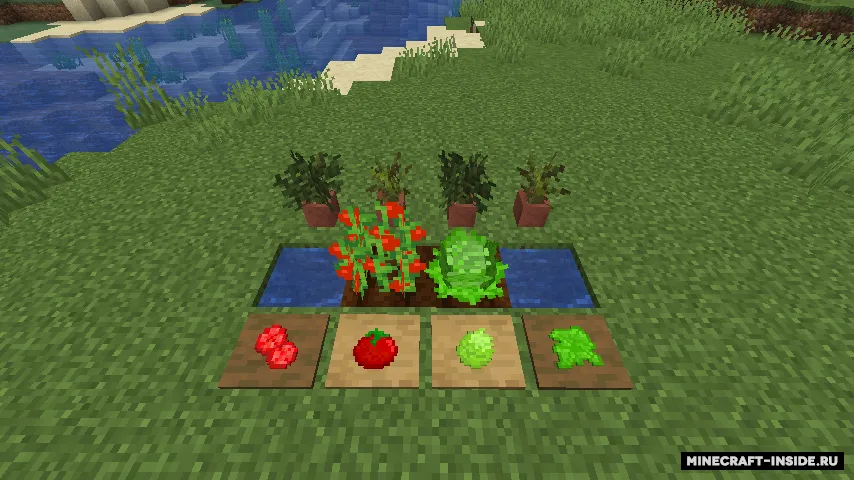 Sandwichable — Minecraft mod, rasm 4