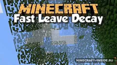 Fast Leave Decay