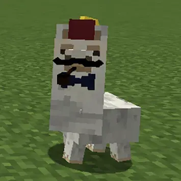 Better Than Llamas