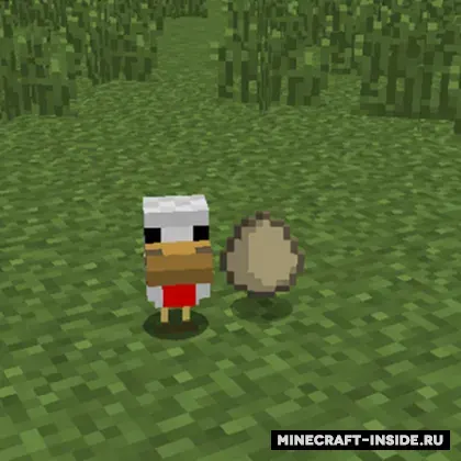 Egg Auto Hatch