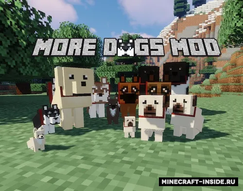 More Dogs — Minecraft mod, rasm 1