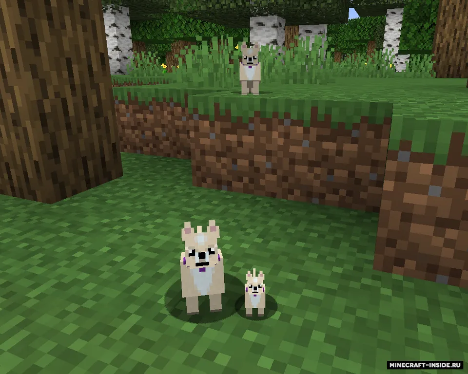 More Dogs — Minecraft mod, rasm 2