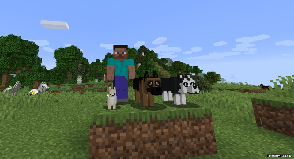 More Dogs — Minecraft mod, rasm 3