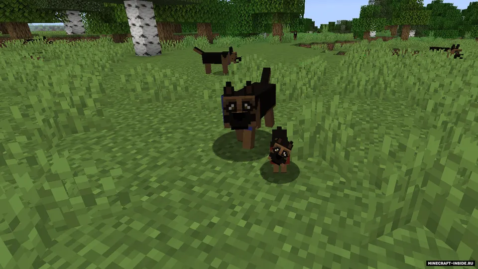 More Dogs — Minecraft mod, rasm 4