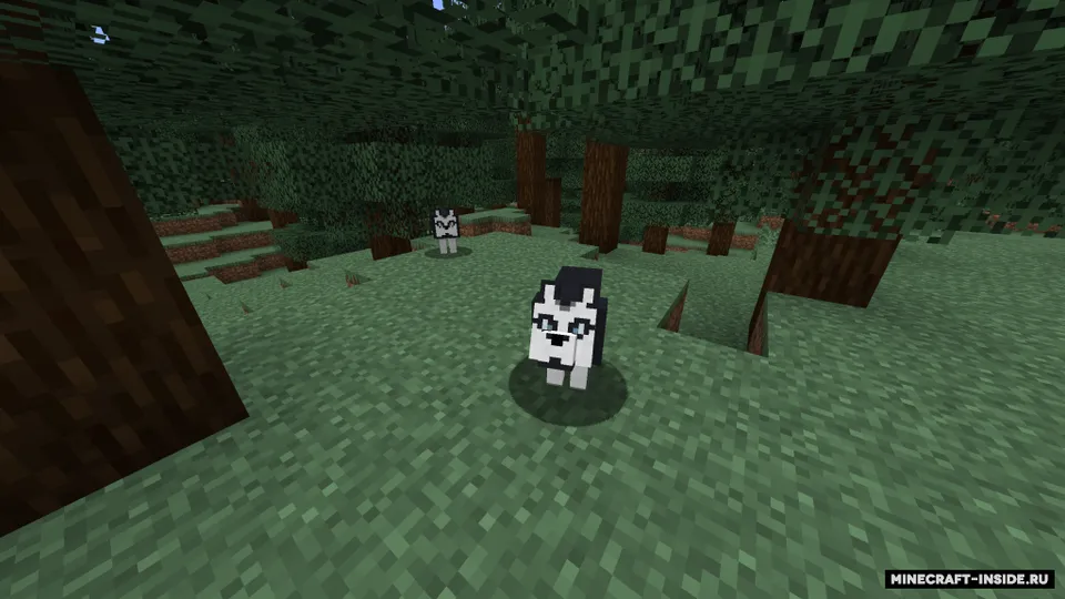 More Dogs — Minecraft mod, rasm 5