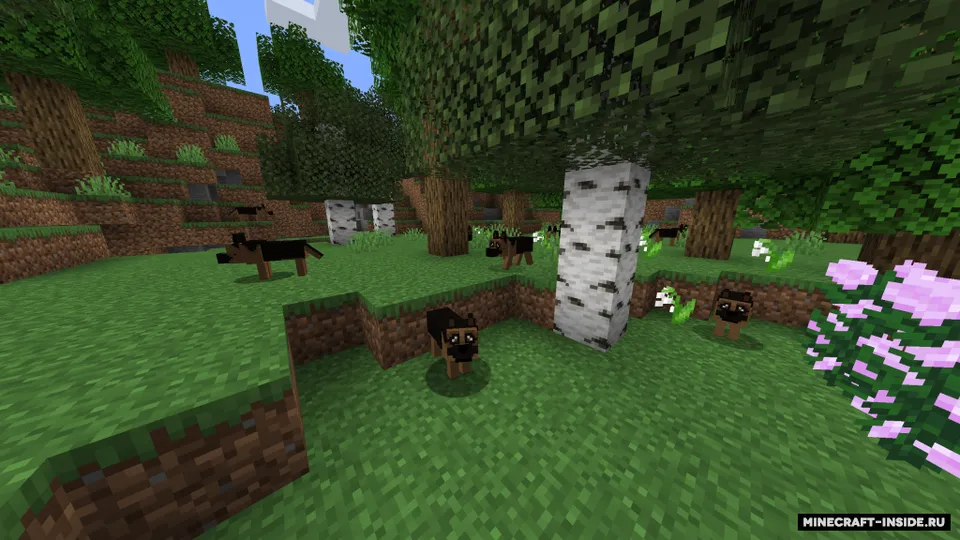 More Dogs — Minecraft mod, rasm 6