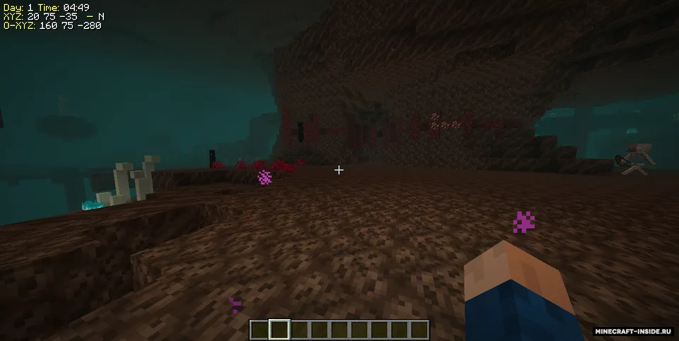 GameInfo — Minecraft mod, rasm 4