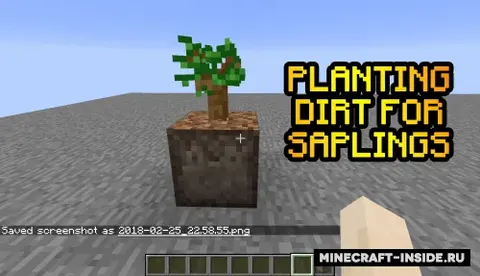 Planting Dirt For Saplings