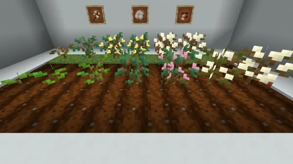 QualityCotton — Minecraft mod, rasm 2