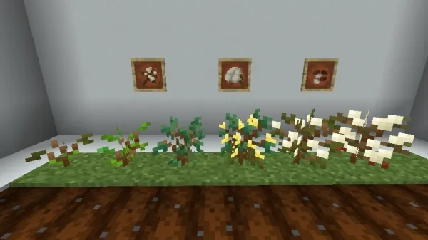 QualityCotton — Minecraft mod, rasm 3