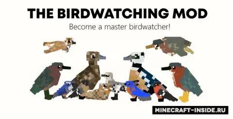 The Birdwatching