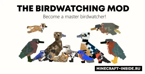 The Birdwatching — Minecraft mod, rasm 1
