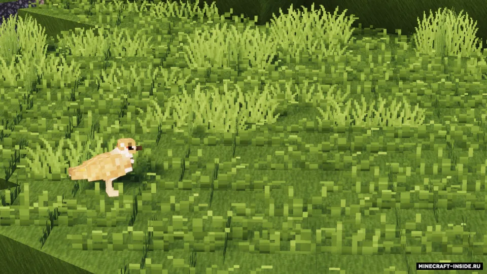 The Birdwatching — Minecraft mod, rasm 7