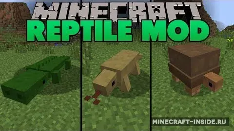 Reptile