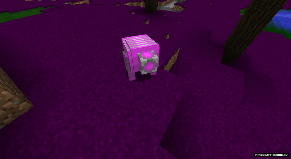 The Bug Swarm — Minecraft mod, rasm 2