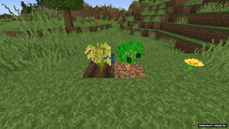 LaLega Sushi — Minecraft mod, rasm 6