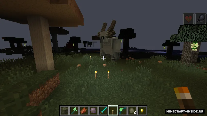 Dimension Dark Florest — Minecraft mod, rasm 3