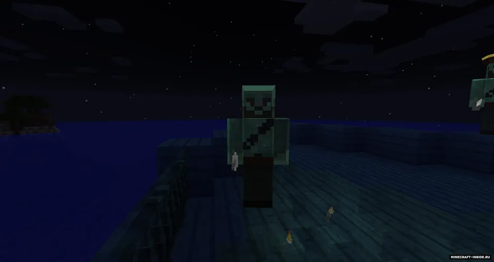 Pirates — Minecraft mod, rasm 8