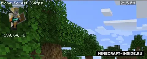 Advanced Skin Customization