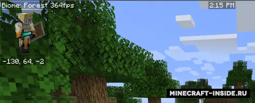 Advanced Skin Customization — Minecraft mod, rasm 1