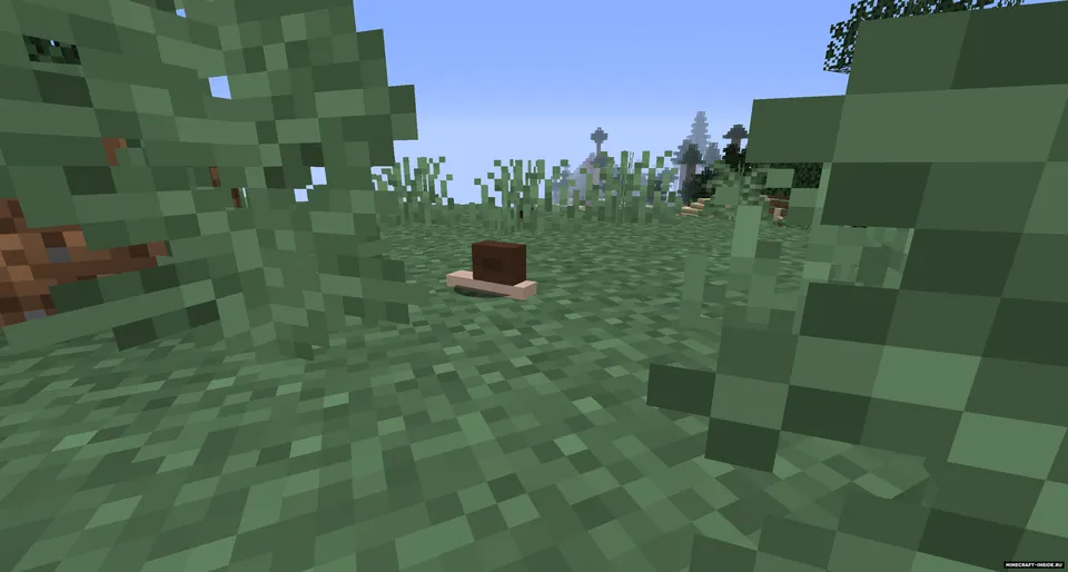 Network 2 — Minecraft mod, rasm 1