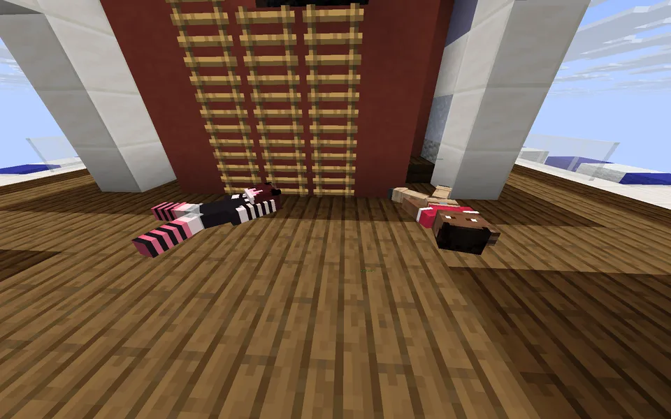 Ragdolls — Minecraft mod, rasm 3