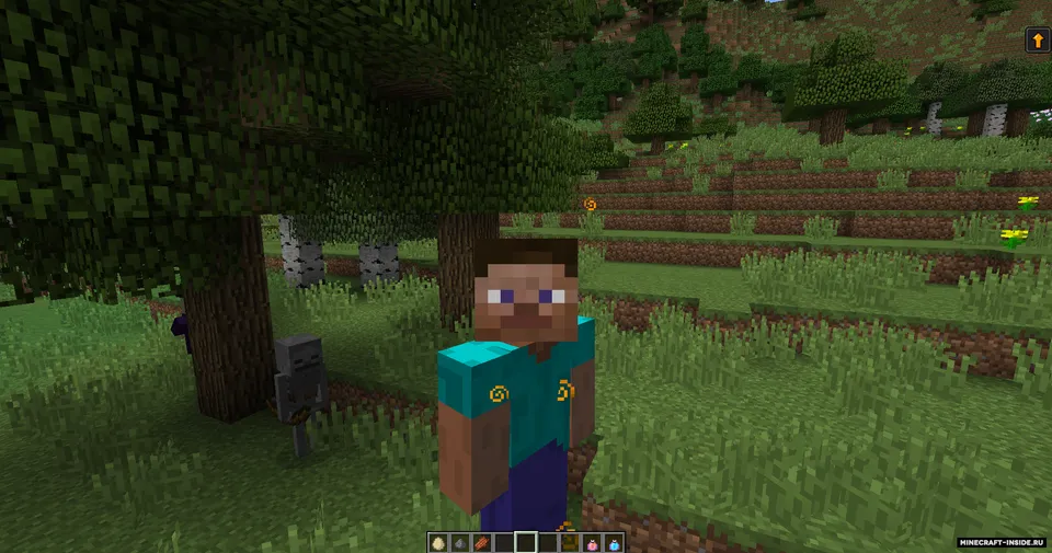 Resizing Potion — Minecraft mod, rasm 2