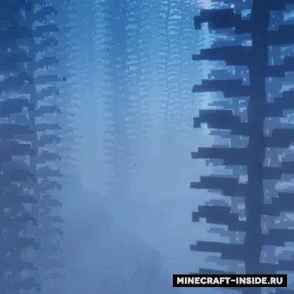 Underwater World