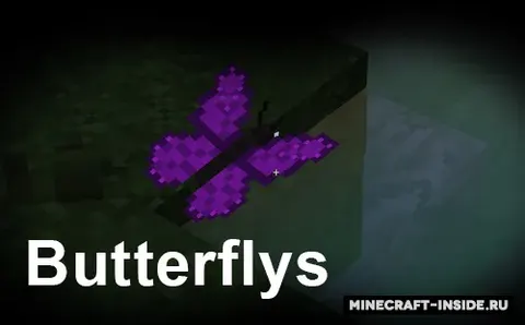 Butterflys