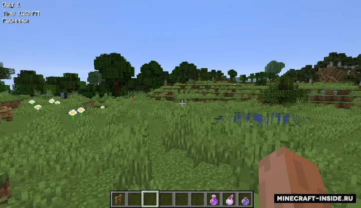 InGameScreenTime — Minecraft mod, rasm 2