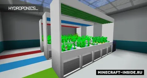 Emerging Technology - Hydroponics