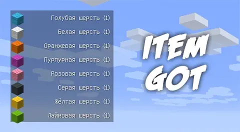 Item Got