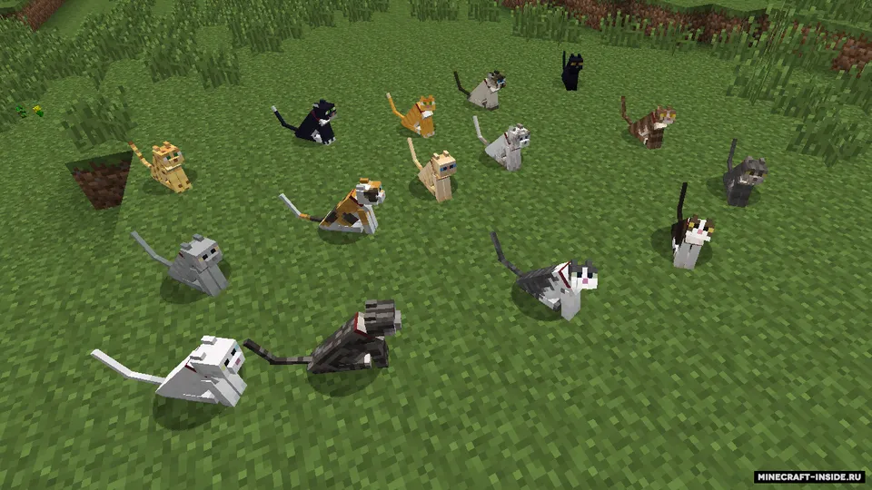 Not Enough Pets — Minecraft mod, rasm 2