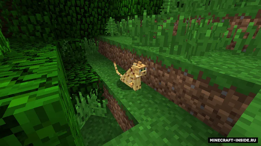 Not Enough Pets — Minecraft mod, rasm 4