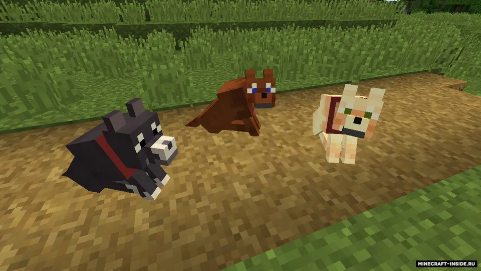 Not Enough Pets — Minecraft mod, rasm 6