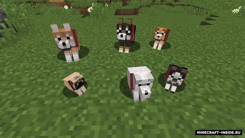 Not Enough Pets — Minecraft mod, rasm 7